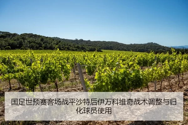 国足世预赛客场战平沙特后伊万科维奇战术调整与归化球员使用